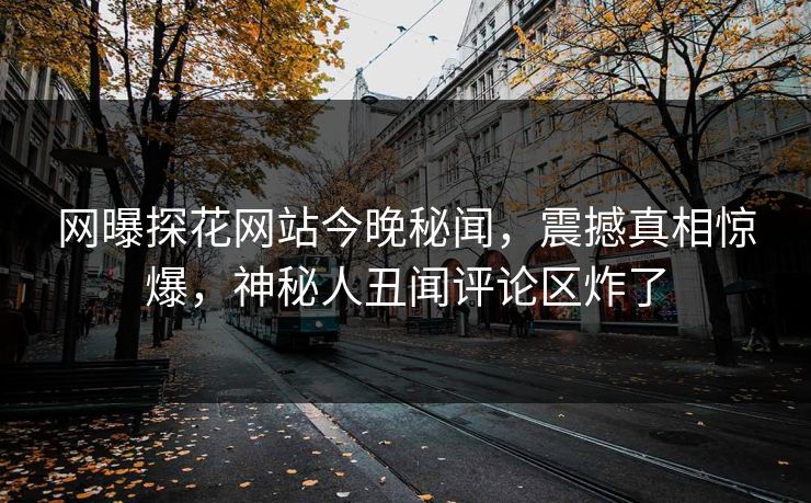 网曝探花网站今晚秘闻，震撼真相惊爆，神秘人丑闻评论区炸了  第1张