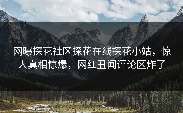 网曝探花社区探花在线探花小姑，惊人真相惊爆，网红丑闻评论区炸了