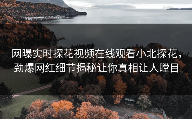 网曝实时探花视频在线观看小北探花，劲爆网红细节揭秘让你真相让人瞠目