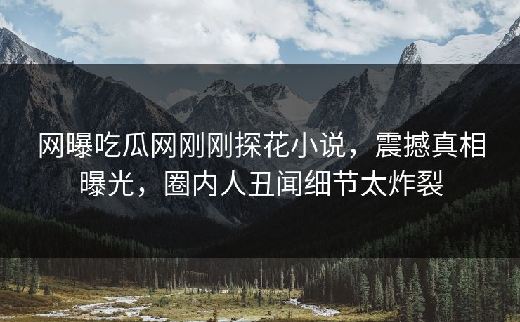 网曝吃瓜网刚刚探花小说，震撼真相曝光，圈内人丑闻细节太炸裂  第1张