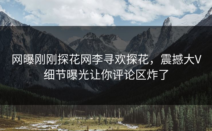 网曝刚刚探花网李寻欢探花，震撼大V细节曝光让你评论区炸了  第1张