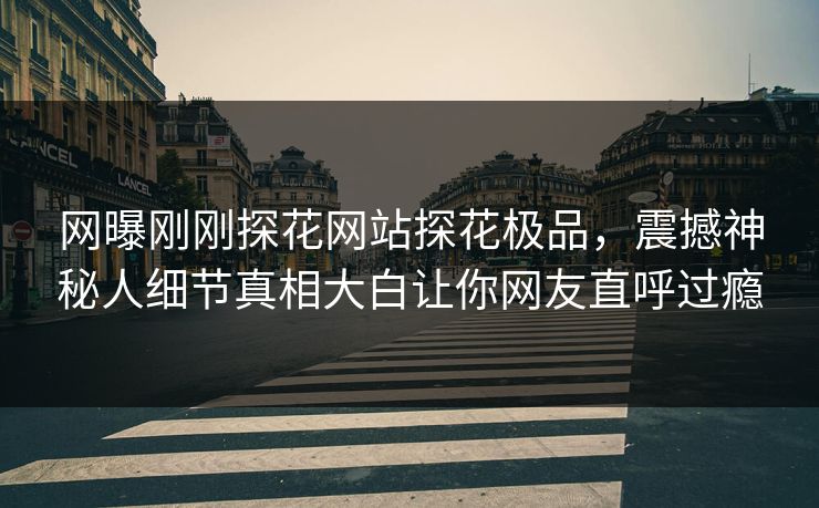 网曝刚刚探花网站探花极品，震撼神秘人细节真相大白让你网友直呼过瘾