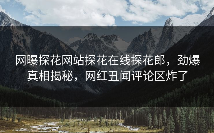 网曝探花网站探花在线探花郎，劲爆真相揭秘，网红丑闻评论区炸了