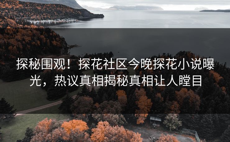 探秘围观！探花社区今晚探花小说曝光，热议真相揭秘真相让人瞠目