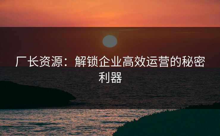 厂长资源：解锁企业高效运营的秘密利器