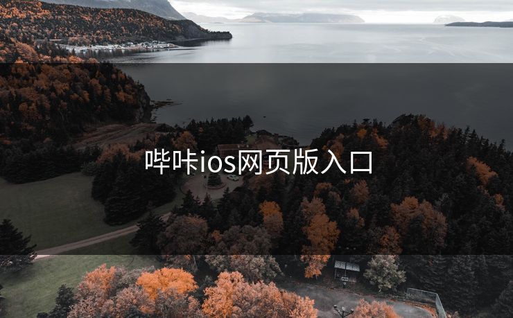 哔咔ios网页版入口