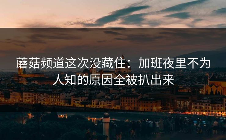 蘑菇频道这次没藏住：加班夜里不为人知的原因全被扒出来