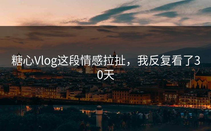 糖心Vlog这段情感拉扯，我反复看了30天  第1张